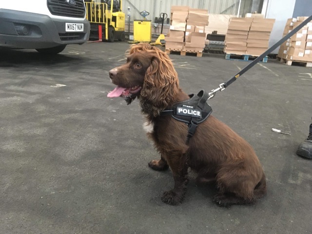 PSOSbpc's tweet photo. PD Spud of @polscotdogs was a welcome and busy visitor to @forthports Grangemouth yesterday, working alongside BPC and @ForthValPolice officers with partners from @ukhomeoffice and @TSScot πΆ https://t.co/GiFjZzYtRz