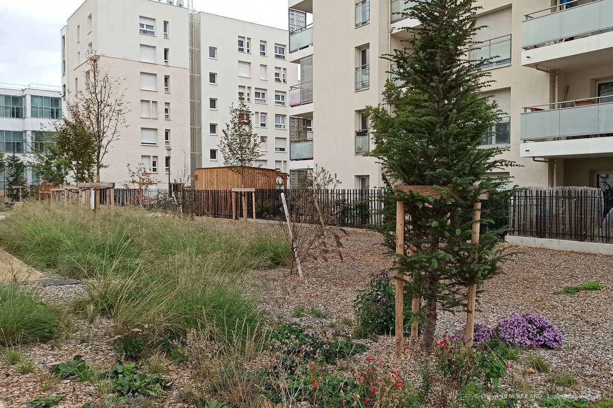 ModulandFrance's tweet photo. [Réalisation] #Esplanade #Tase : au cœur du quartier Carré de soie, un lieu de détente ludique et familial avec un magnifique abri en douglas fabriqué dans les usines #Moduland. Bravo à tous les acteurs du projet ! Parcs et Sports @vaulxenvelin69 @grandlyon https://t.co/M6cyr22i56