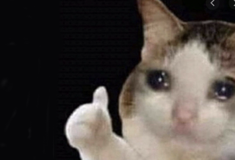 me on day 8, after running out of kdrama episodes to watch but realising new episodes come out tomorrow