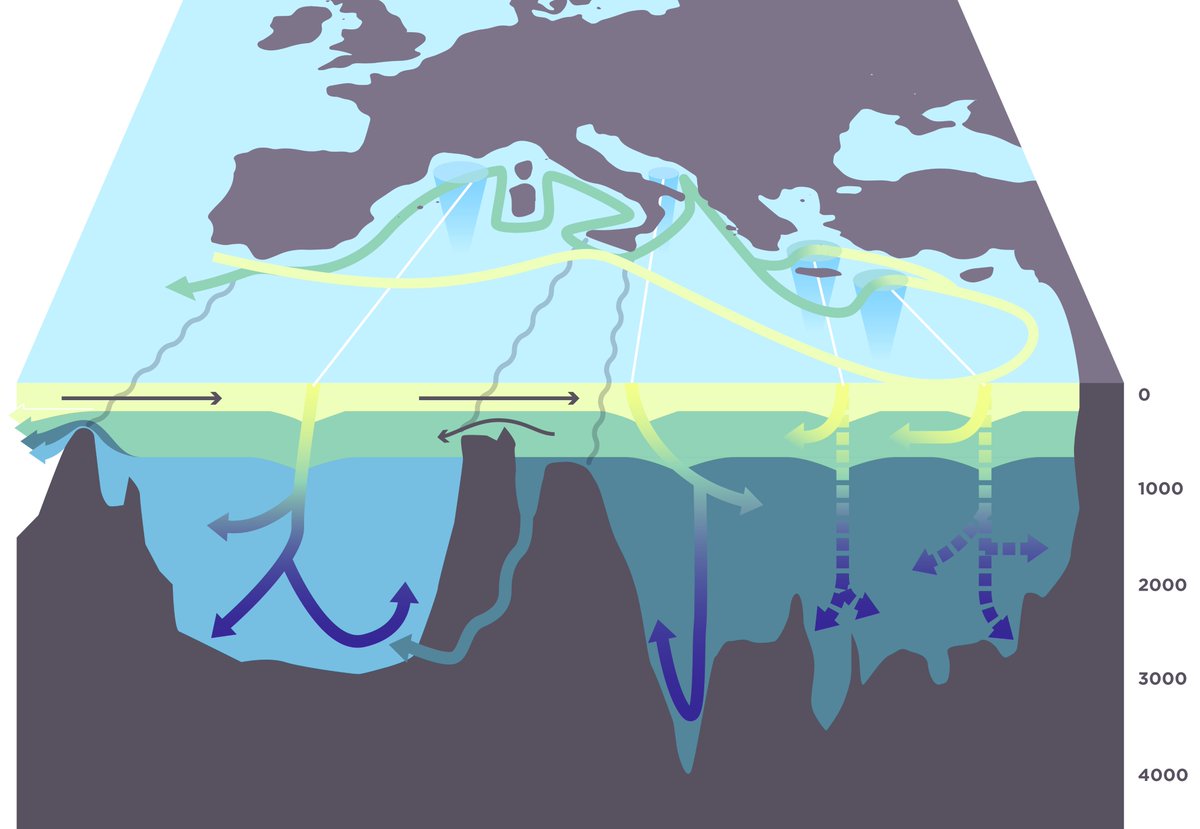 CNRS_INSU's tweet photo. Grâce à l’ensemble des missions financées par le programme «#Mistrals, on a pu
Mieux comprendre le circuit des eaux profondes en #Méditerranée
https://t.co/TrQKqQgmtw https://t.co/mmDuT4C7z1