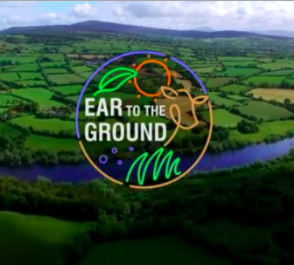 HexaflyBiotech's tweet photo. For those of you who missed @HexaflyBiotech on @RTEOne's Ear To The Ground here's the full clip with our thanks to @darraghmccullou and RTE Player https://t.co/AoXchIPWRC #hexafly #insectprotein #ettg #scienceweek #RTEscienceweek #blacksoldierfly https://t.co/RKZvEE3RxG