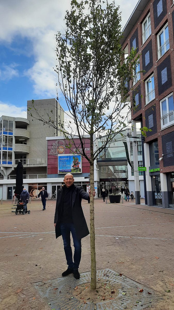 gemNissewaard's tweet photo. De afgelopen weken is er hard gewerkt om het centrum van Spijkenisse verder te vergroenen. Lees meer op https://t.co/4tbk4tmI7m #bomen #vergroenen #winkelhart #nissewaard https://t.co/J68dXAq6pF