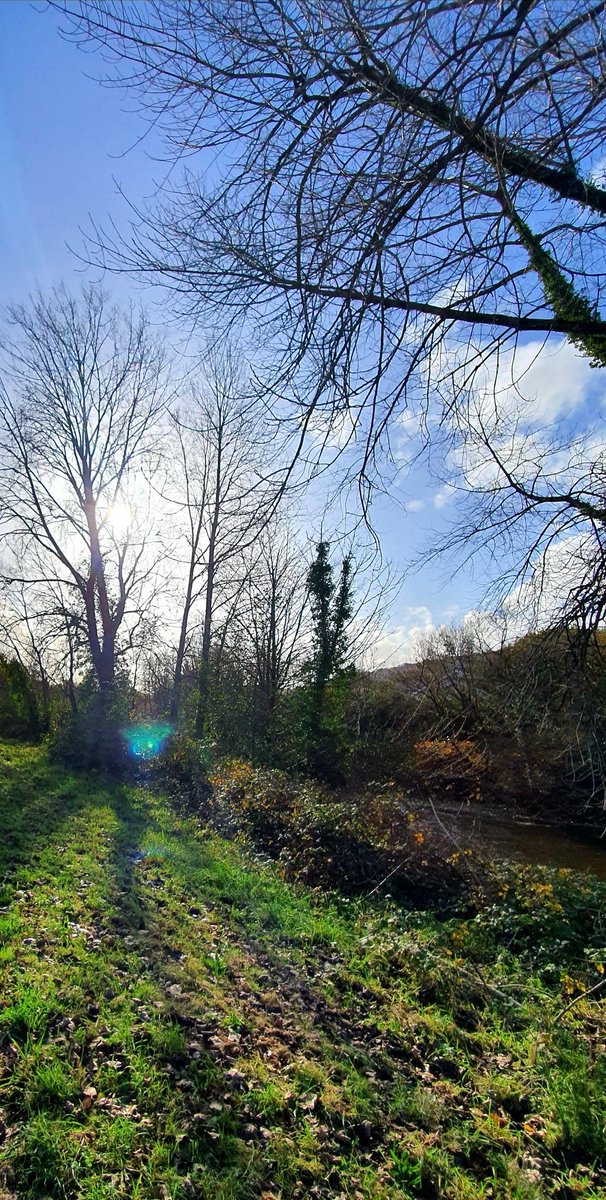Gurfal's tweet photo. Er gobaith, rheidrwydd yw'r gwybod - nad ynt
Â'u dawns hudol hynod
O gyfaredd rhyfeddod
Hardd... ond i'r bardd mae nhw'n bod.
"Dwi'm yn credu yn y tylwyth teg ond mae nhw'n bod" - T H Parry-Williams
#Treforys #Abertawe #TylwythTeg https://t.co/Me8R8rQbmT