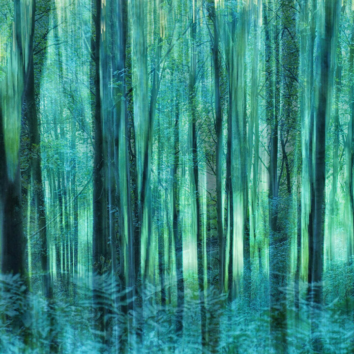 OlympusUK's tweet image. "I love to photograph woodland and landscapes, but usually in an abstract way – I find features like the Art Filters and Double Exposure, and combining these with techniques such as ICM, can allow images to look truly unique." Read more → olympus-imagespace.co.uk/new-possibilit… #OlympusUK