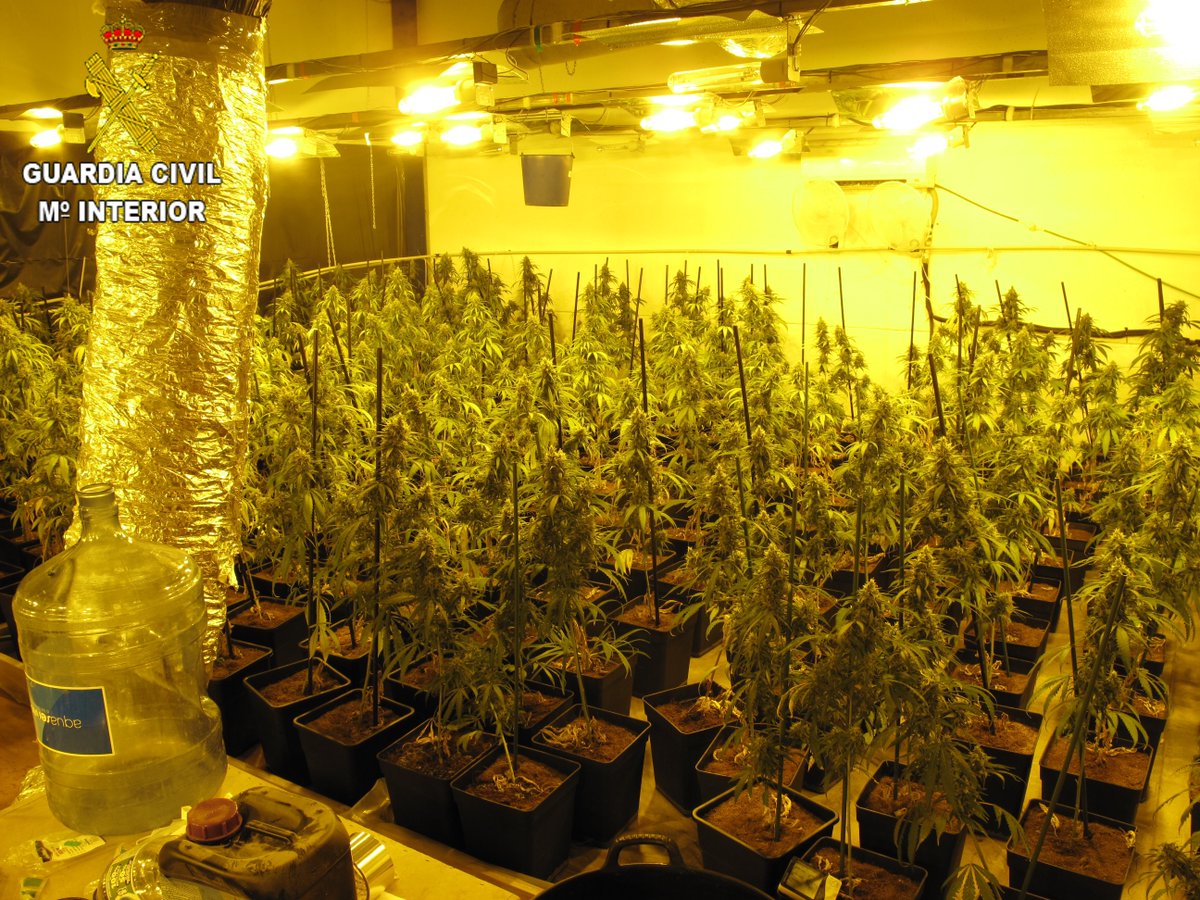 DaRevenga's tweet photo. Operación contra la droga en #Seseña.
La @guardiacivil ha detenido a dos personas por elaborar y cultivar estupefacientes. Tenían en una nave una plantación indoor con 476 plantas en el polígono Las Monjas. Actuación por la comunicación de un vecino con #Alercops. https://t.co/Sh3elpU7Su