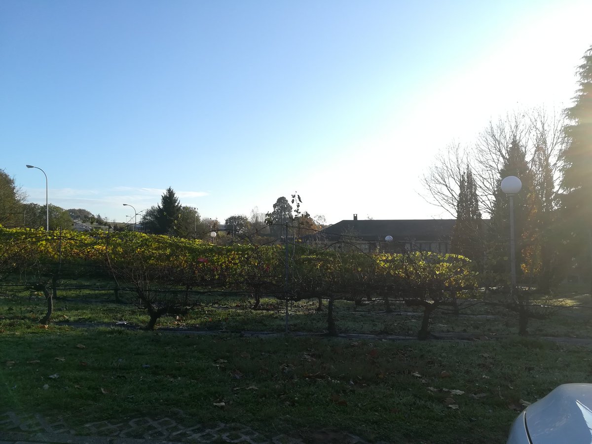 WineCastineiras's tweet photo. ¿Lugo de mañana y soleado? Debo estar soñando...
Back to school again.
#sunny #friday #HereIGoAgain #Cecra #agronomist #engineers #Lugo #LugoMola https://t.co/V5SXE8G7pu
