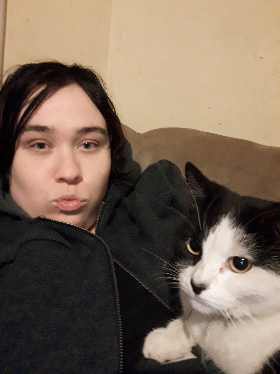 OzzySwamp's tweet photo. The most beautiful, perfect cat in the entire history of cats. Meet Sasha y'all. 
#CatsOfTwitter #love #furbaby #highaf #weed https://t.co/Y7I29iYZyA