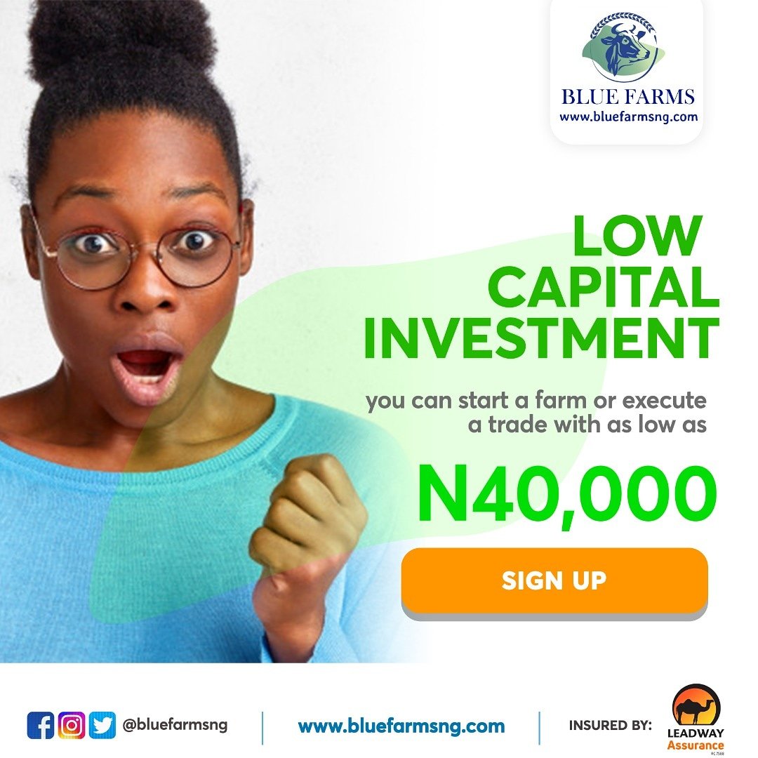 bluefarmsng's tweet photo. Yes! You can start an investment package with us from as low as 40k.

Sign up now on https://t.co/OCIPZ0suEJ https://t.co/Cs7emjz2wS