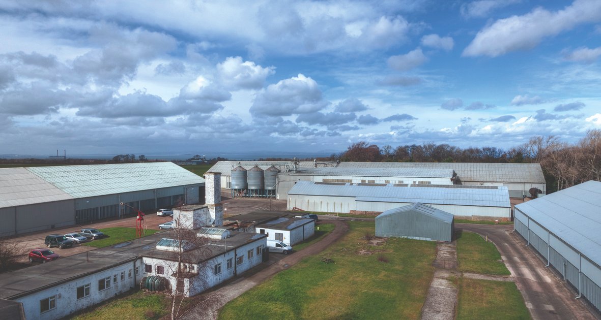📰 NEWS: Simpsons Malt, the fifth-generation family malting and merchanting company, is to acquire W.N. Lindsay Ltd’s grain merchanting business.

Read more 👉 buff.ly/2ICP3Er