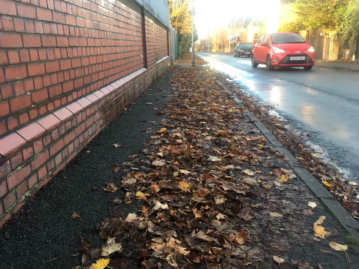 Loads of leaves on the path. Most pedestrians are walking on the road as it’s safer.