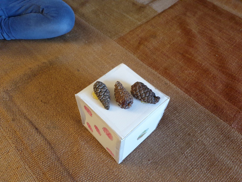 BSB_EarlyYears's tweet photo. KG have used our treasures from outdoors to help observe patterns and subitise. We love that they have created their own ways of showing the whole groups. Number work at home in action. #bsblife #continuouslearningprovision #subitising @BSB_Brussels https://t.co/eZERXlZdQQ