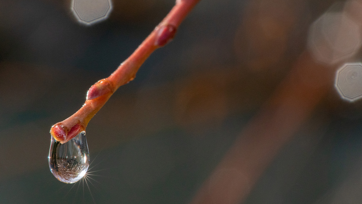 Look for other life around you, from plants to insects to birds. What wildlife do you spot? It’s not always obvious, so take the time to look hard at everything. Notice how it looks, sounds, moves. You might spot details in the smallest things you’ve never noticed before.