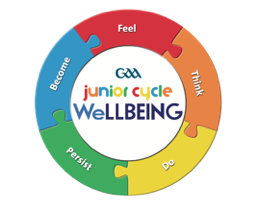 Galway GAA Coaching & Games tweet media