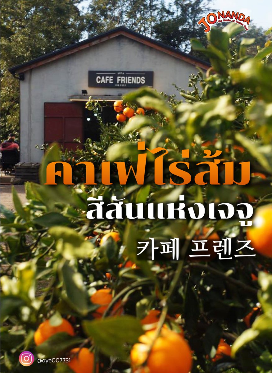 JoNandaKR's tweet photo. คาเฟ่ไร่ส้ม สีสันแห่ง #เกาะเจจู~ ☕️🍊 
'#CAFE FRIENDS' (#카페프렌즈) 
.
เกาะเจจู สถานที่พักต่างอากาศที่นอกจากวิวทะเลสวยๆแล้ว ยังเป็นที่รู้จักในเรื่องของความอุดมสมบูรณ์ของธรรมชาติ
ของดีที่คนเกาหลียอมรับกันก็คือ '#ส้มเจจู🍊' นั้นเอง!
.
#JoNanda #제주도 #CAFEFRIENDS #เที่ยวเกาหลี https://t.co/BTHZnsJ2KV