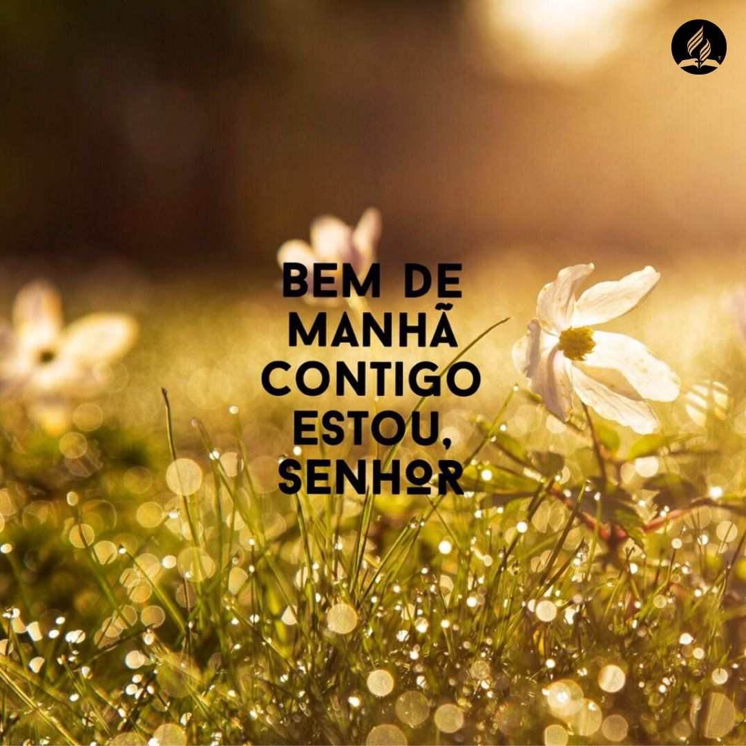 Adventistas Brasil on Twitter: Adventistas Brasil on Twitter:
