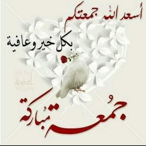 حسين عطالله المحامي (@husseinmosa79g1) on Twitter photo 