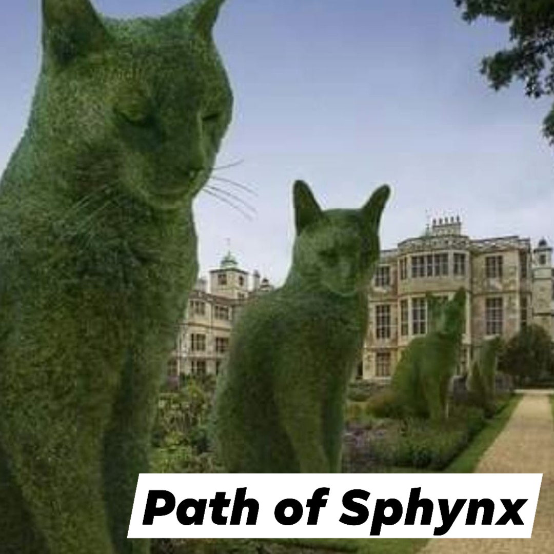 Thelastmeow1's tweet photo. Topiary cat

#Cats #cat #catsoninstagram #kitty #catsontwitter #funnycats #Richardsaunders https://t.co/Mh02RPjcn7
