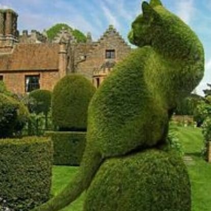 Thelastmeow1's tweet photo. Topiary cat

#Cats #cat #catsoninstagram #kitty #catsontwitter #funnycats #Richardsaunders https://t.co/Mh02RPjcn7