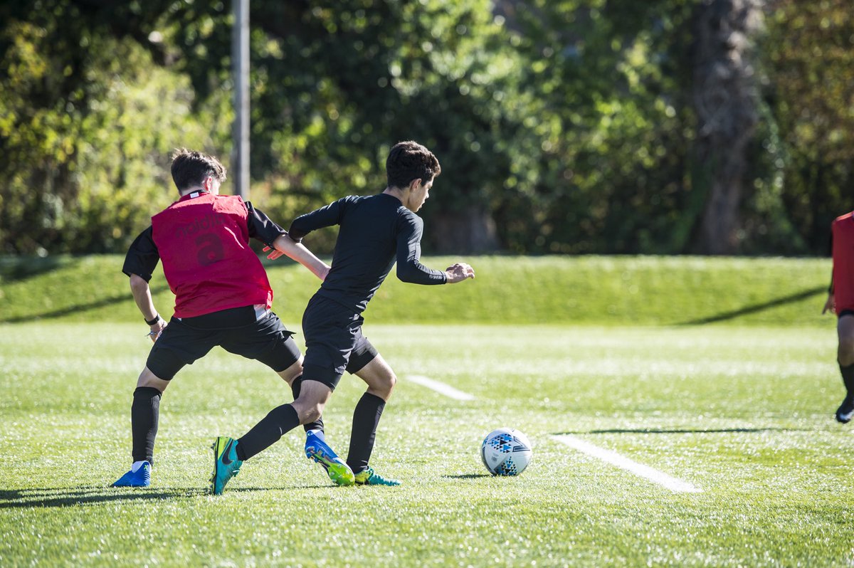 WetherbySeniorSport tweet media