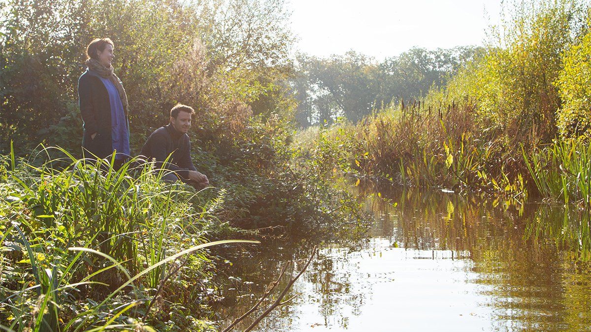 Watch water - at a wetland, in your pond, bird bath, or create your own mini indoor pond. Find a river or stream that you can sit next to safely. Close your eyes and listen to the sounds of the water. Being near water is scientifically shown to improve our wellbeing.