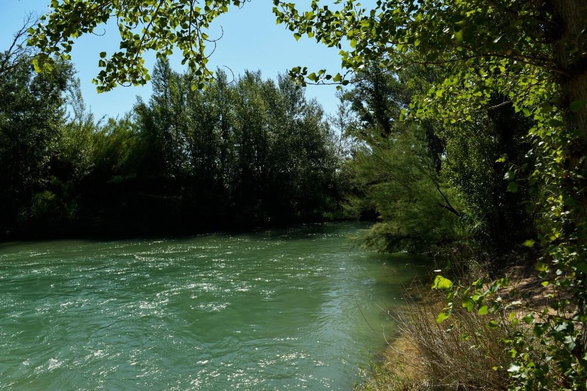 Todos sabemos que tenemos limitada la movilidad...😞
Es momento de conocer lo nuestro...¡Te sorprenderás!😉
Cerquita de casa y en plena naturaleza...Desconecta🌳
El mejor plan para este finde👇👇
🌐valledelcabriel.com
☎️967 47 00 36