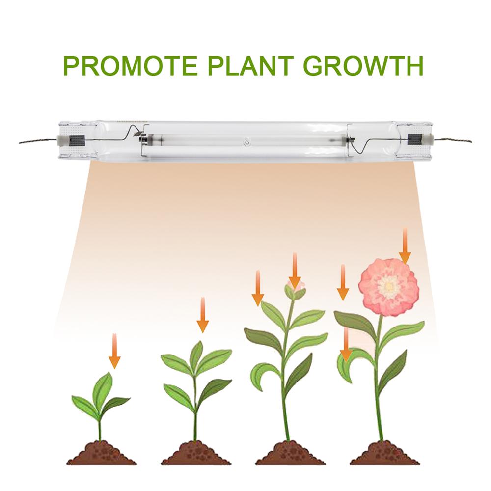 1677715527_2's tweet photo. ECO Farm 1000W Dimmable 97% Reflective Hydroponic Fixture Double Ended HPS Plant Grow Lights
#hpslight #growlight #growroom #hydroponics #indoorplanting #420light #verticalgarden #420canada #ecofarmca https://t.co/PlAn3SBXfy