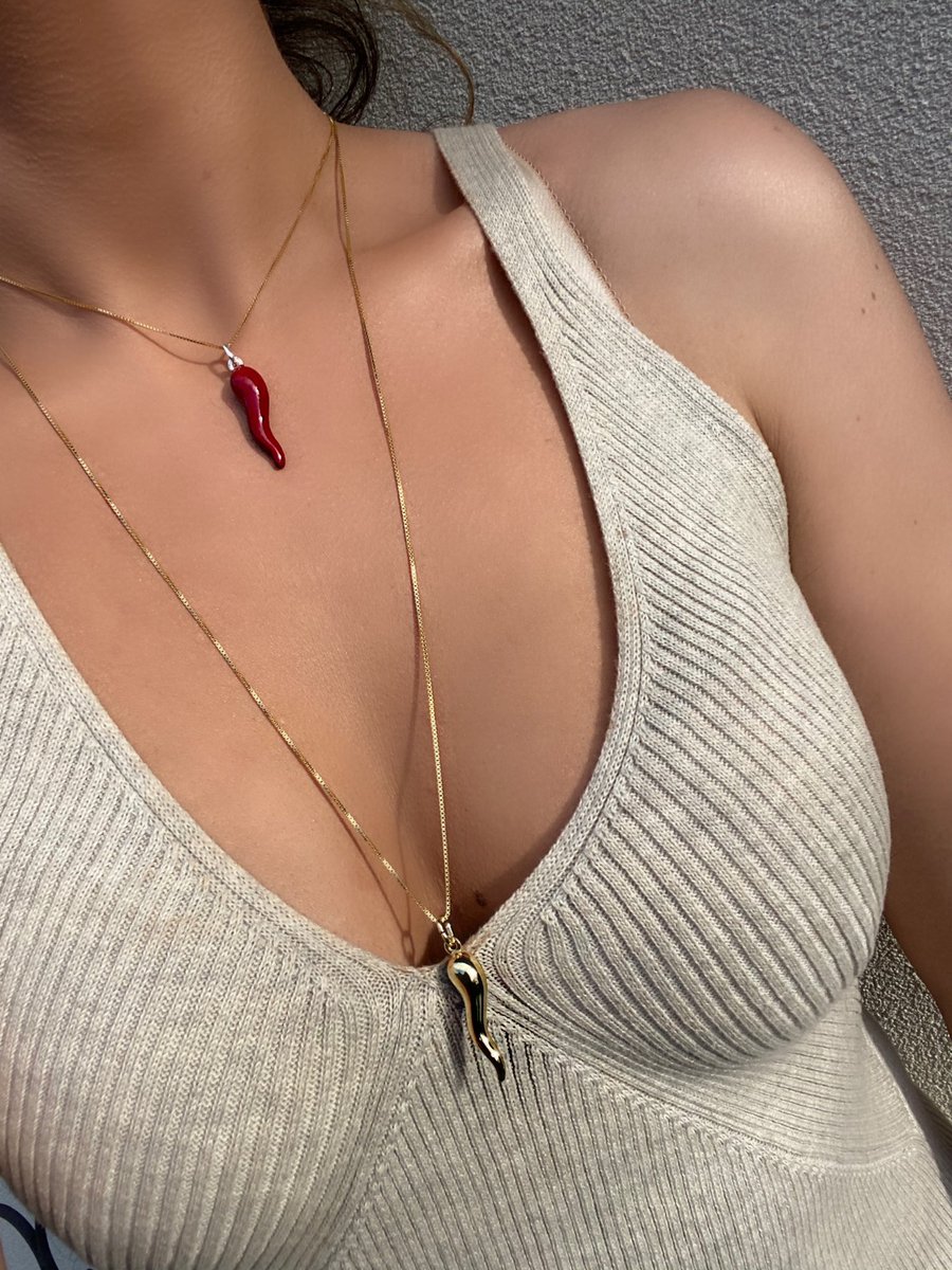 bellaluckcharms's tweet photo. Introducing The Milano Necklace ✨ The perfect Italian Cornicello Necklace 🌶 #jewelrylovers #jewellerylovers #fashionista #fashionstyle #fashioninsta https://t.co/H9Sd75Oxr2