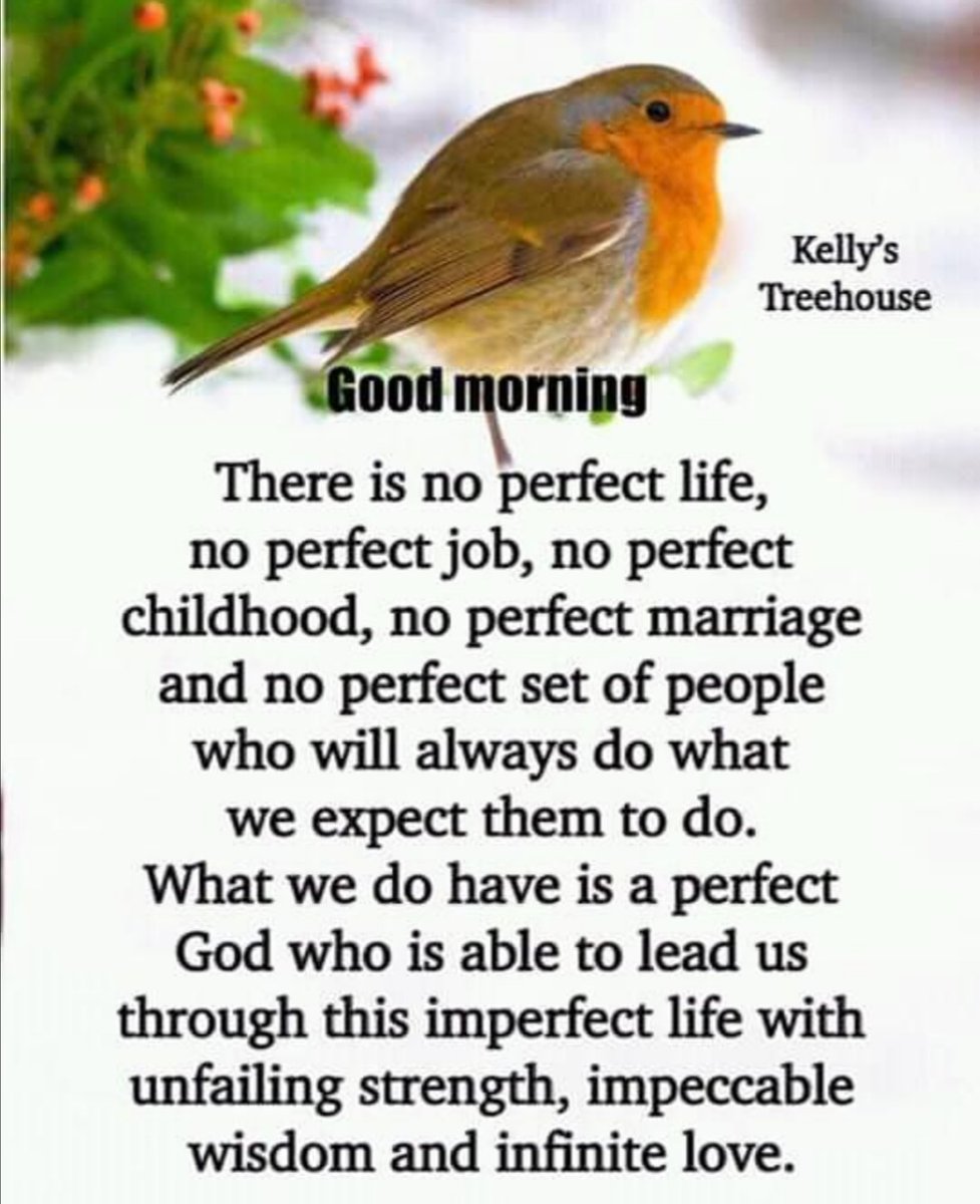 ClubChosen's tweet photo. Amen🙏🏽 Have a #Friyay #Friday and an awesome weekend Beloved!

#IAmChosen #mitchellsplain #capetown #InGodWeTrust #love #tgif #positivevibes #loveconquersall #hisstrengthisperfect #mercy #grace #kaapstad #cpt #mothercity https://t.co/Q1f8KCeiYu