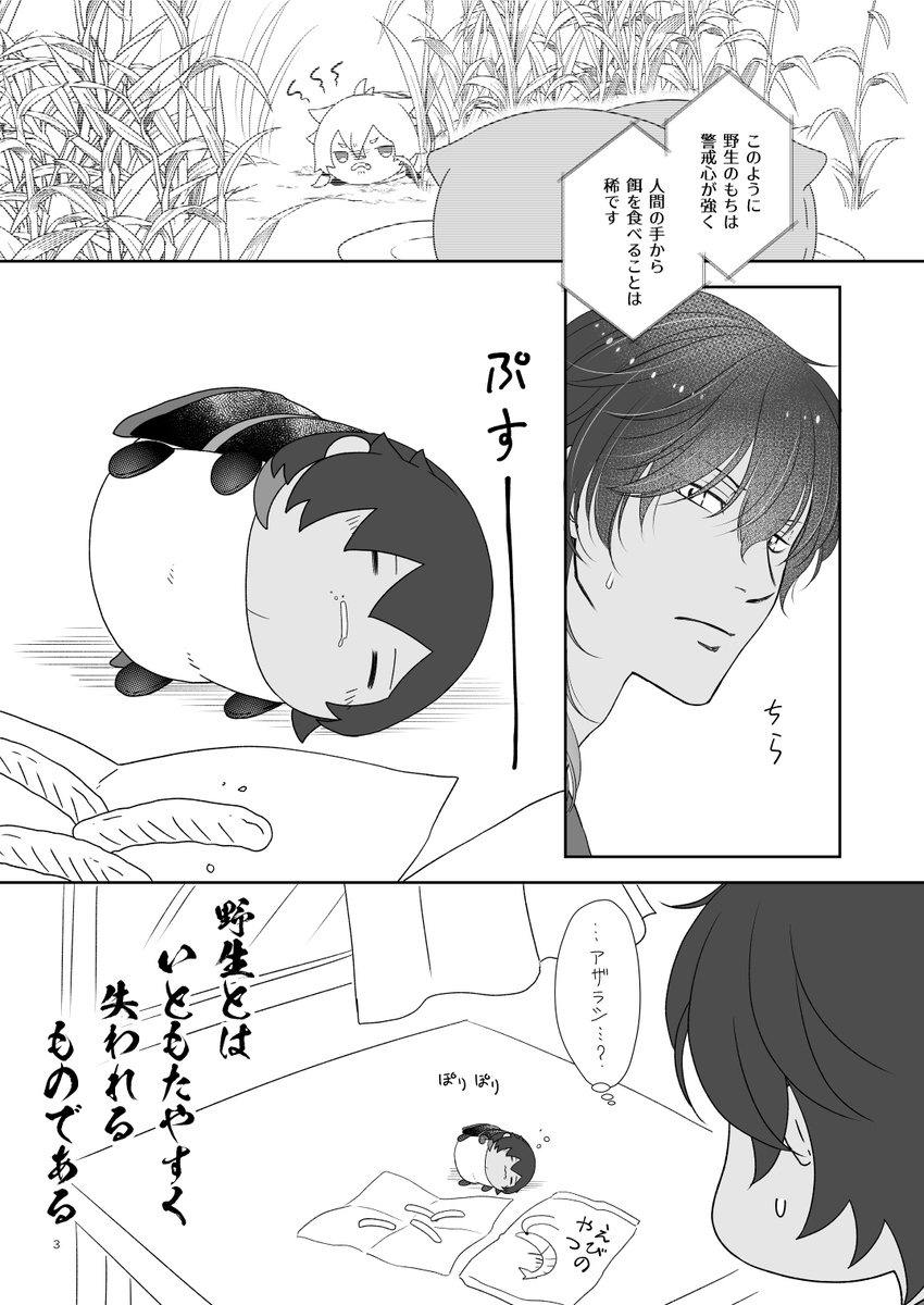 おくればせながら11/8の無配もち 