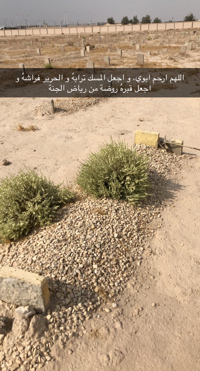 liasm8's tweet photo. اللهم أسقي قبر ��بوي غيثًا ترتوي به تربته ، واجعل قبره بردًا وسلامًا يا ارحم الراحمين
#مطلق_بن_مقيذل https://t.co/nDWPMSK4OU