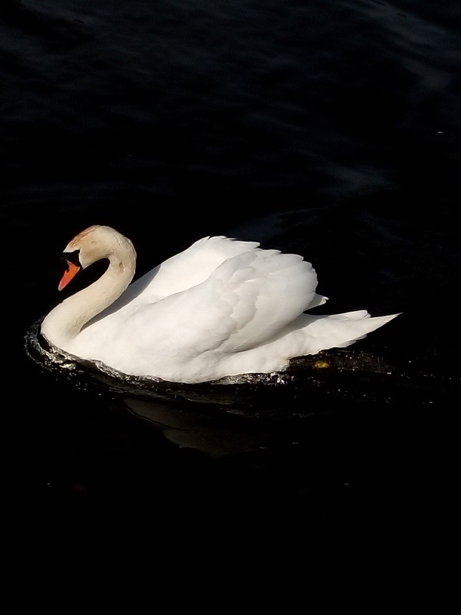 Skerries Community College Photography Club tweet media