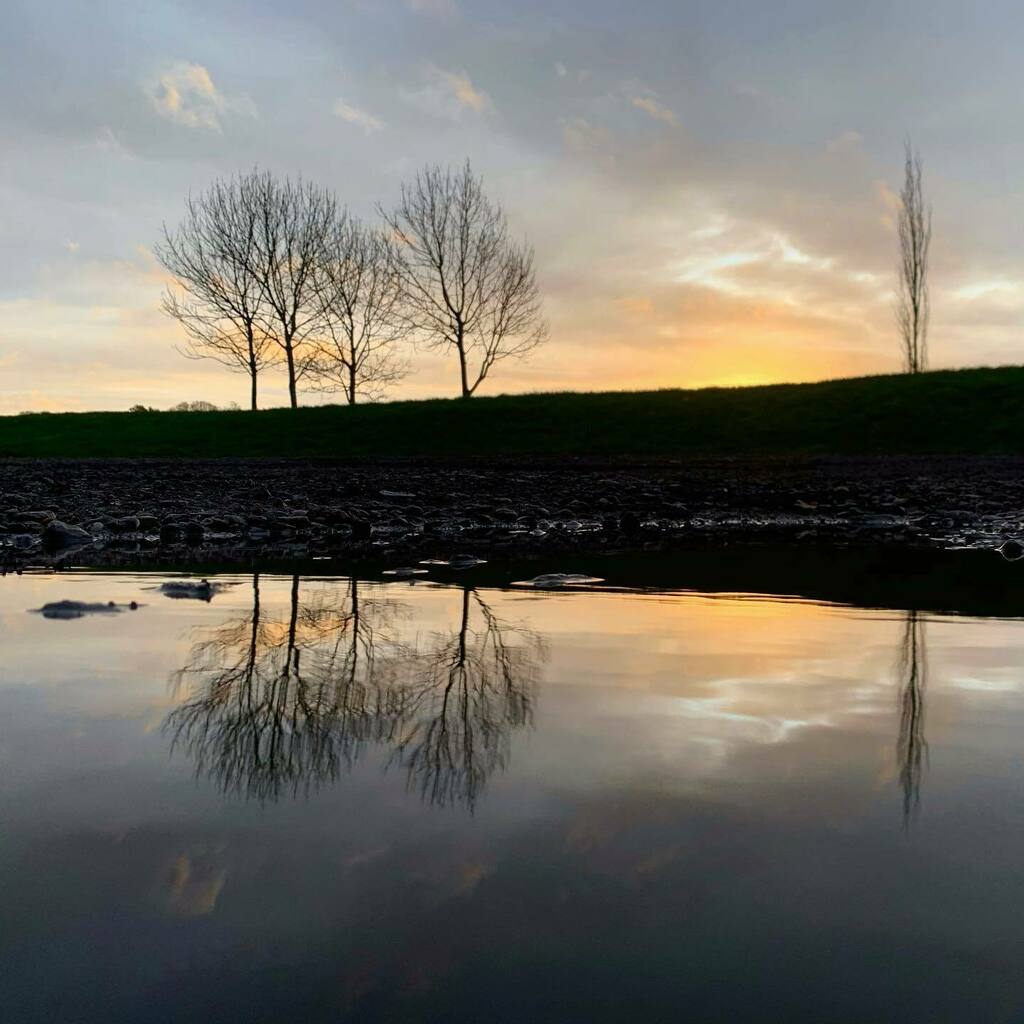 DansLowNotes's tweet image. Sunrise in a Puddle
🌄 
🌄
#sunrise #sky #clouds #puddle #puddlepic #puddlegram #trees #reflection #reflections #reflection_perfection #reflection_shots #reflection_focus_on #reflection_fun #reflection_super_pics #reflectiongram #reflection_hunters #re… instagr.am/p/CHhklSbJUzd/
