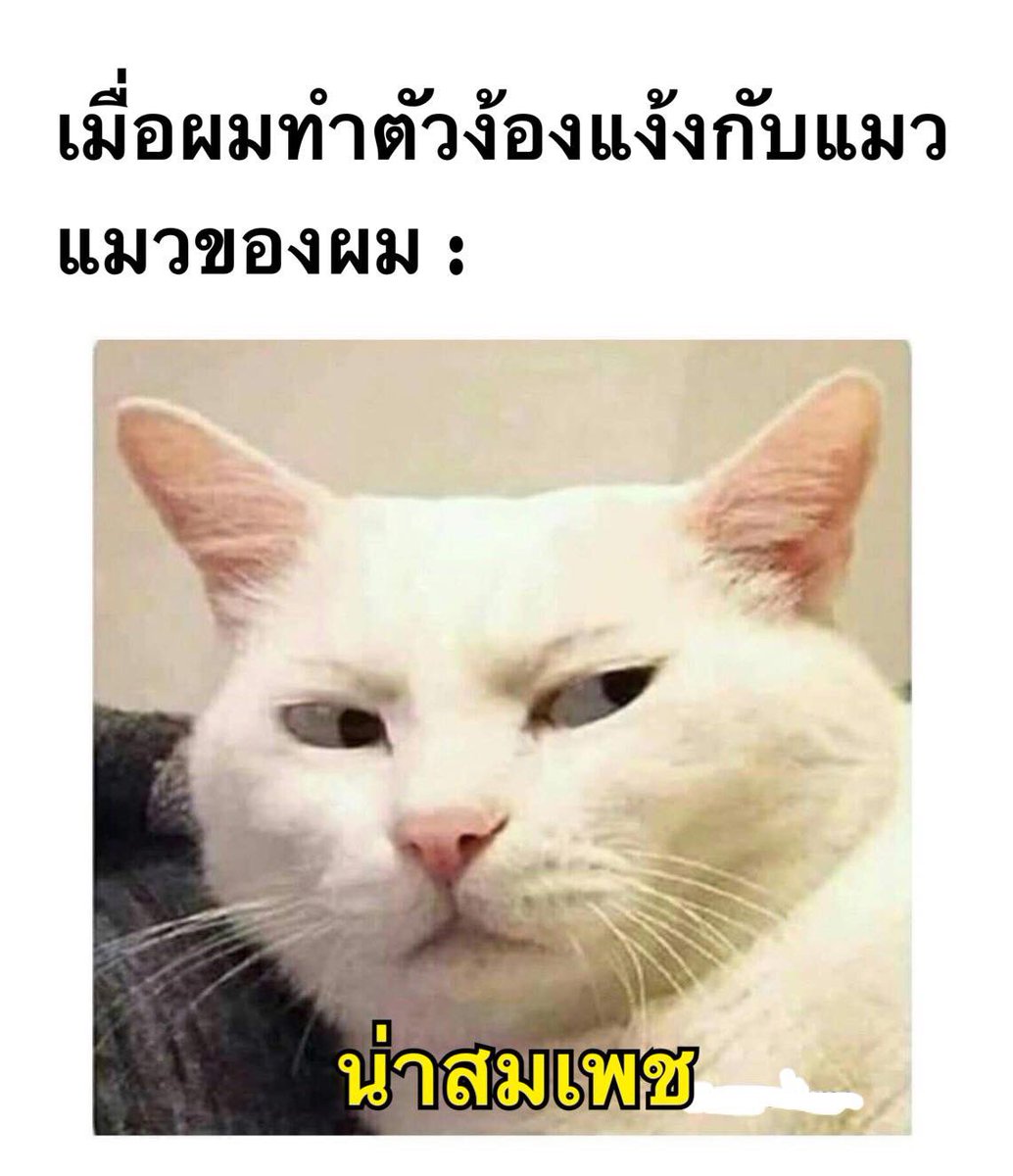 55555555555 โอ้ยยย