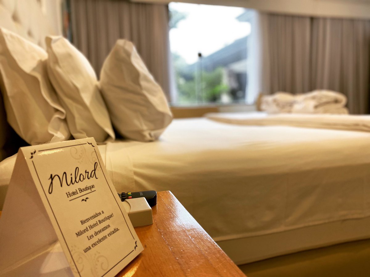 MilordHotel's tweet photo. Arrancamos viernes con todo! Nuestras habitaciones listas para recibirles!Consultá nuestros descuentos por el Mes de Noviembre🙌🏻✅ Todas nuestras habitaciones son desinfectadas siguiendo el Protocolo de salubridad establecido😷Info y Reservas 📲0985814008 ☎️071206235 https://t.co/5k32xD0wgq