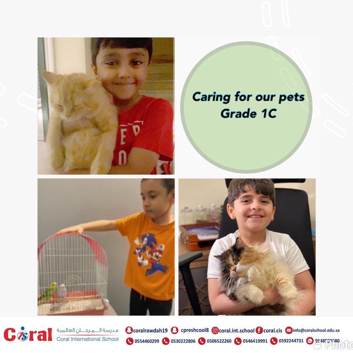 SchoolCoral's tweet photo. Caring for our pets
Grade 1 C
#mirzahanaa
#مكتب_التعليم_الاهلي
#تعليم_جدة https://t.co/jdUPmWUFWs