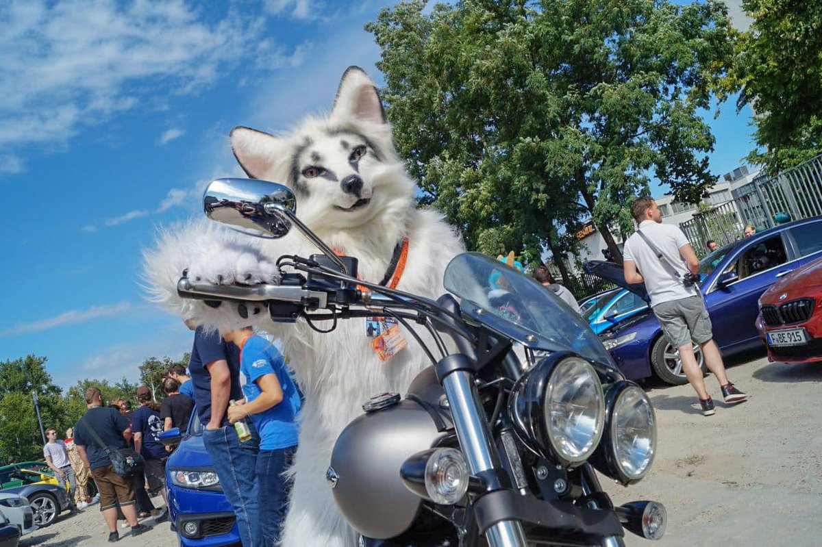 BerkWolf's tweet photo. Happy #FursuitFriday as @Kitavos_DE
βοΈ @yurei_kitsune
πΈ @Tromsodragon
π 16.08.2019
π¨ @estrelberlin
π #Berlin π©πͺ
π¦ @eurofurence
π© @cheetah_spotty
#EF #EF25 #EF2016 #Eurofurence #Furry #Furcon #Fursuit #Motorfurs
@EF_Fursuits
Video Project 2020-2022:
πΉ @furryfreestyle https://t.co/Iz3OA8Ef8P