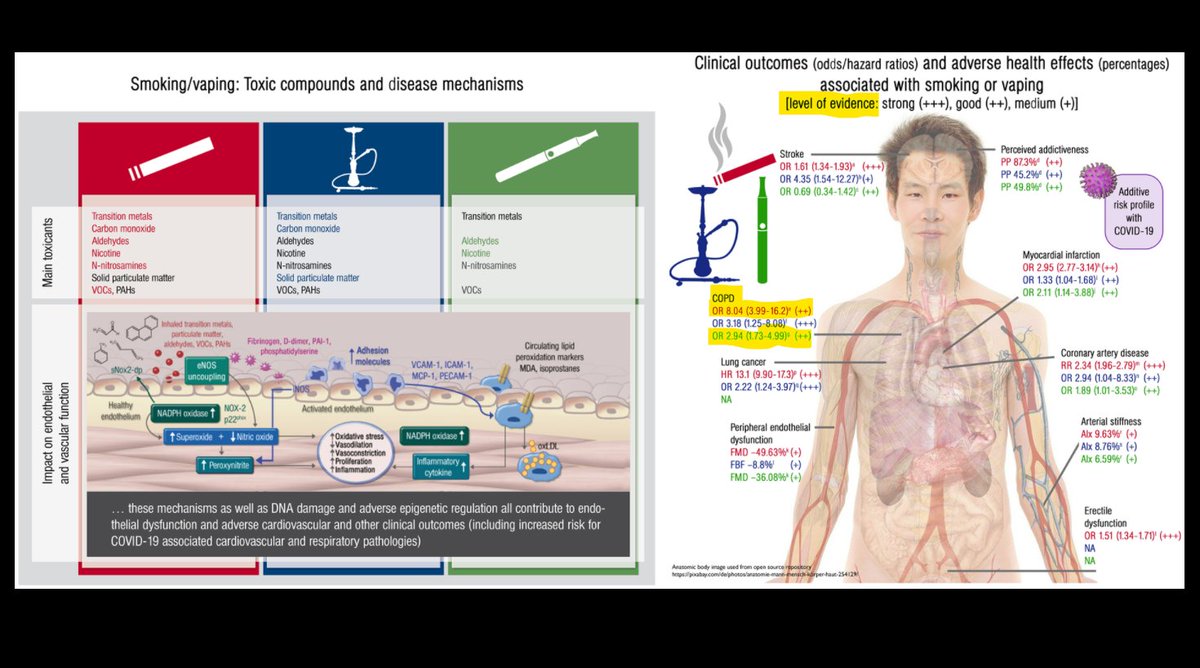 As if  #AllOfTheAbove was not enough, the Prof. added a non-systematic LitRev in 06/20 for  #badmeasure https://doi.org/10.1093/eurheartj/ehaa460Colorful pics made the ridiculous claim that the same "level of evidence" existed for BOTH  #smoking () AND  #vaping () to be linked to  #COPD7/n