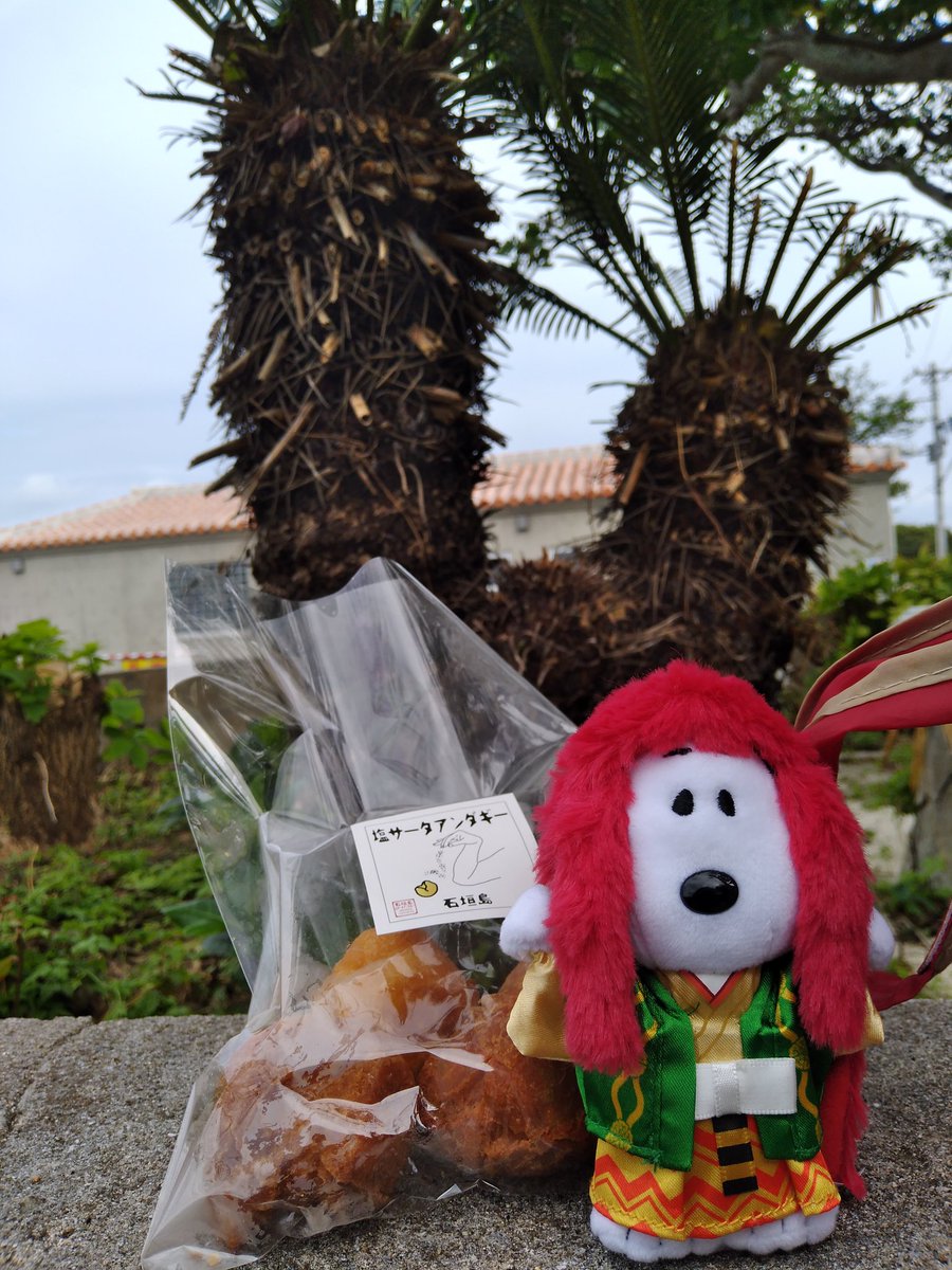 moyoyoko314's tweet photo. #BLUESEAL
#アイスクリーム
#塩ミルク
#サーターアンダギー
#cafeMAS
#ヤシ https://t.co/UqybXB4hPw
