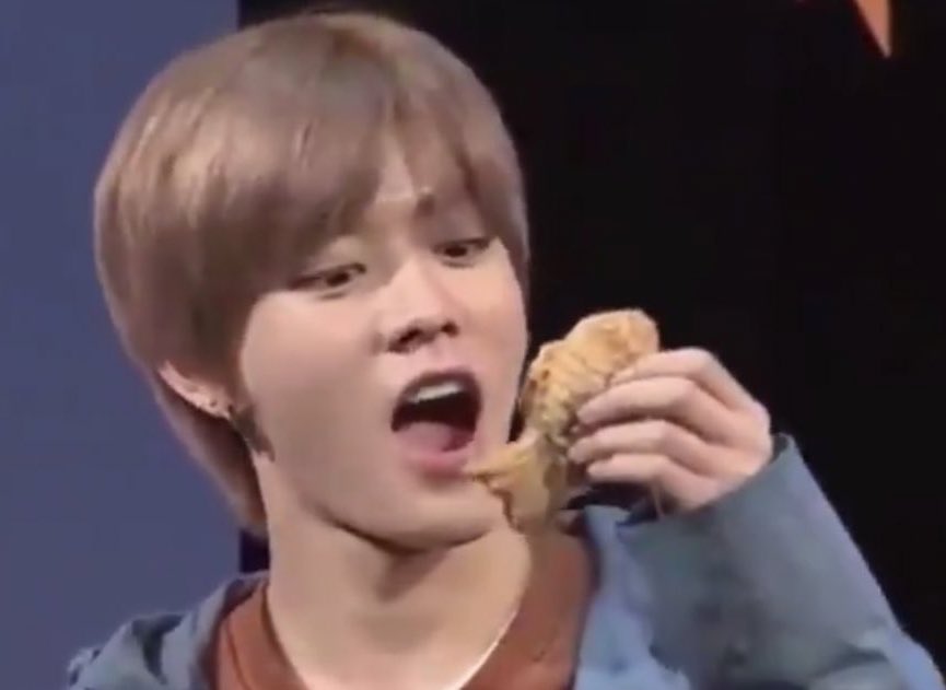 how to take care of your yuta — a guide by nct