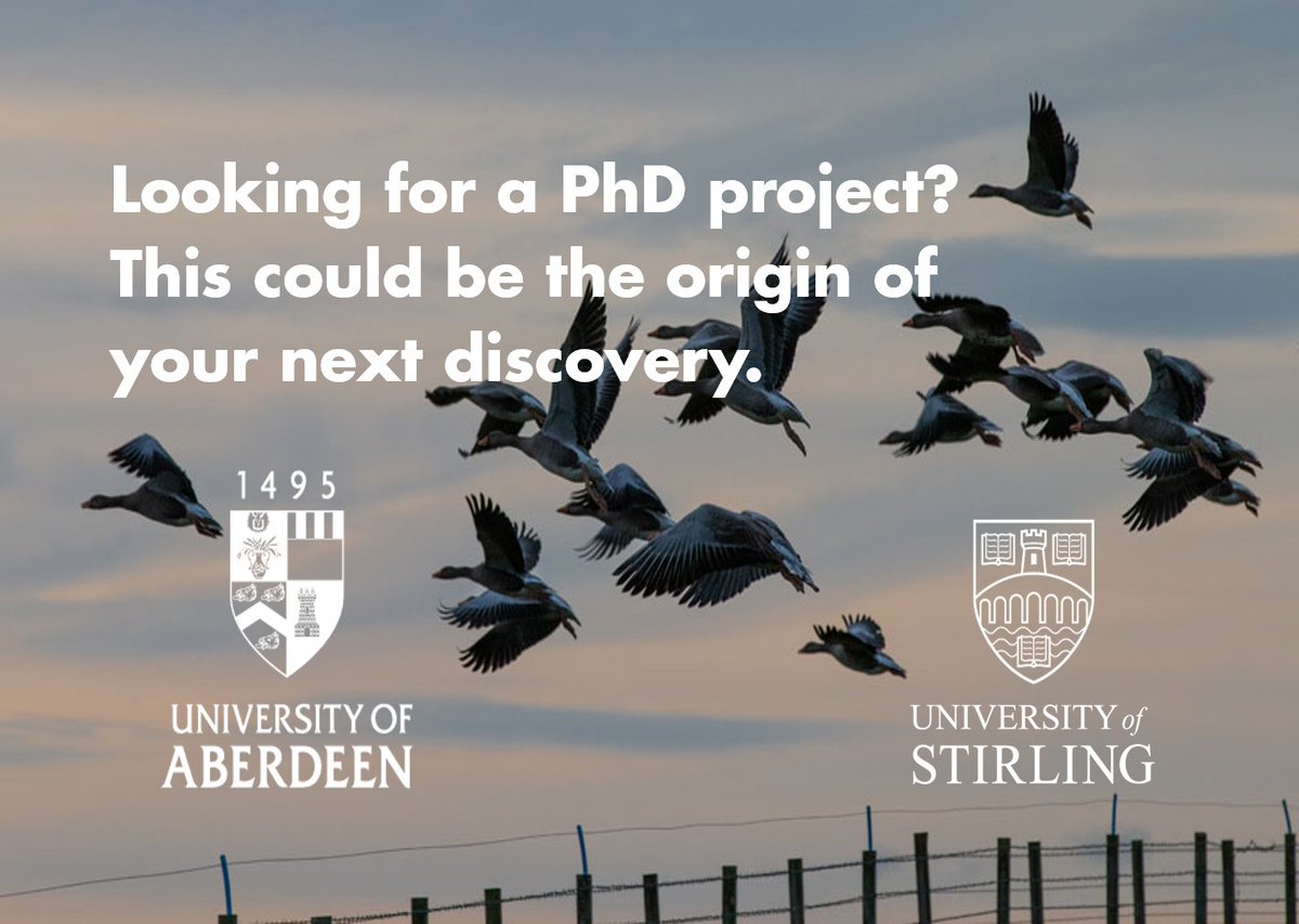 anapayopayo's tweet photo. 📢 We are looking for a candidate to champion on the next @EastbioDTP  PhD studentship call!

"Integrating social and ecological approaches for sustainable food production and biodiversity management"

See project details here 👇
https://t.co/S4wP5ZTgnx https://t.co/0n1xztpMNM