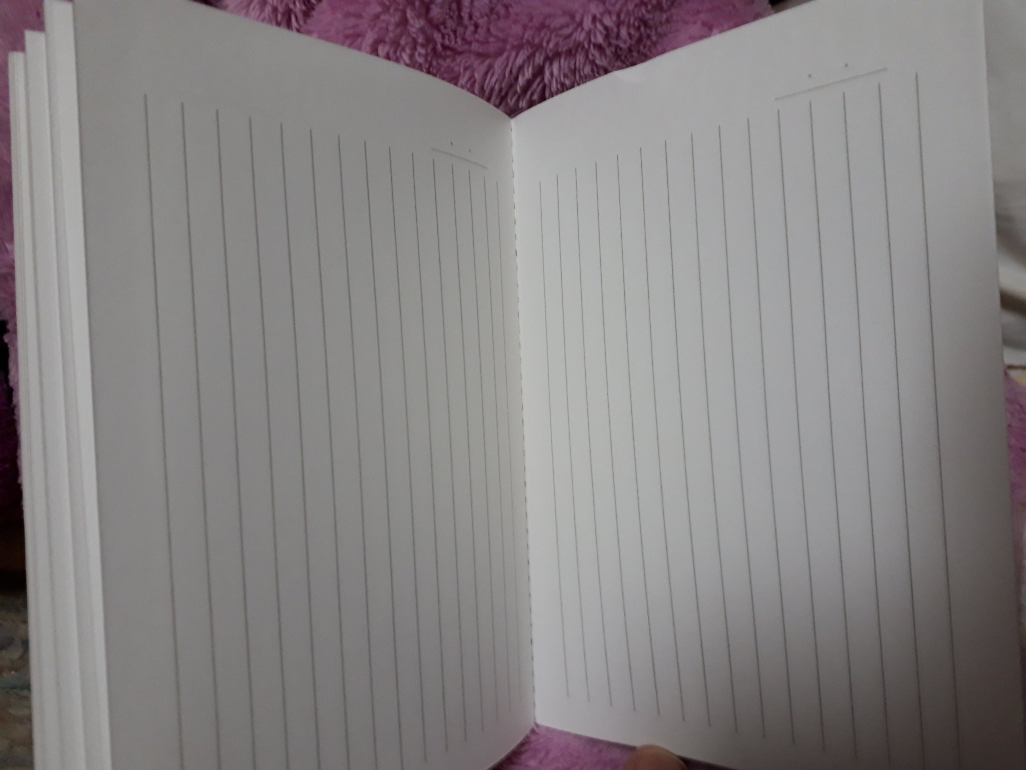 芝﨑絵里 Illustration Photographer Auf Twitter 国語の時間に 縦書きノートがほしい と願っていた私 時を経て ついに100均のダイソーさんから 縦書きノート が販売される 文章を書く方は 要チェック 国語 縦書き