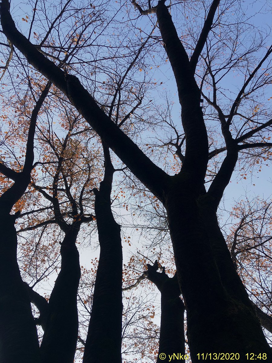 고영남 tweet media