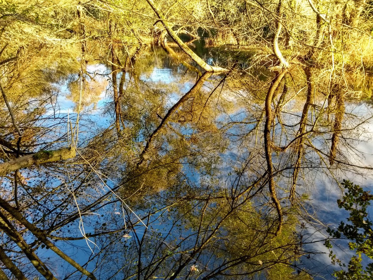 3Gites's tweet photo. Autumn reflections #maisonslaboissiere https://t.co/f2fneLHVEI
