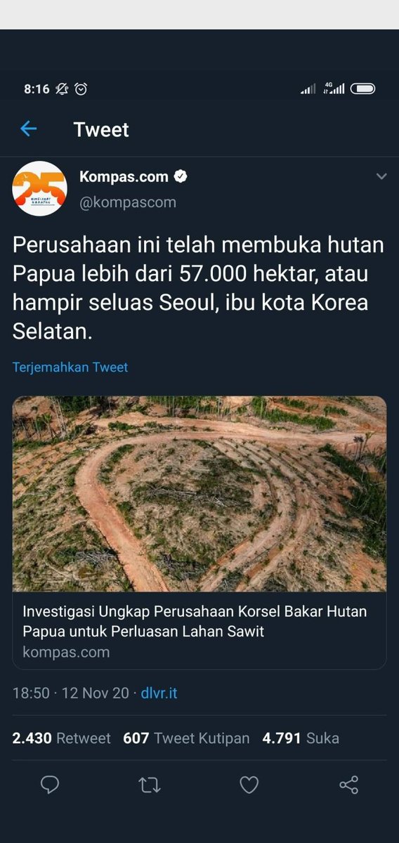 deviana_nabilah's tweet photo. #SavePapuaForest https://t.co/y86YGcKAXu