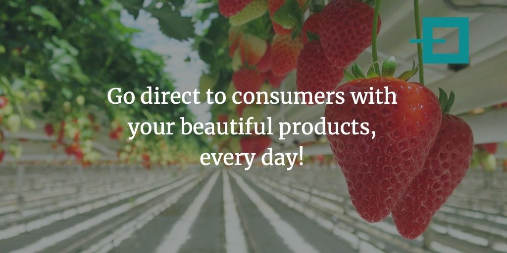DirectifyCo's tweet photo. Use the #Dashboard &amp; #Analytics feature for central insights for multi-channel success!

You now have permanent insights in your portfolio: understanding where to change the pricing or product per channel. 

#Directify #ecommerce #feature https://t.co/RHIBWCKRBF