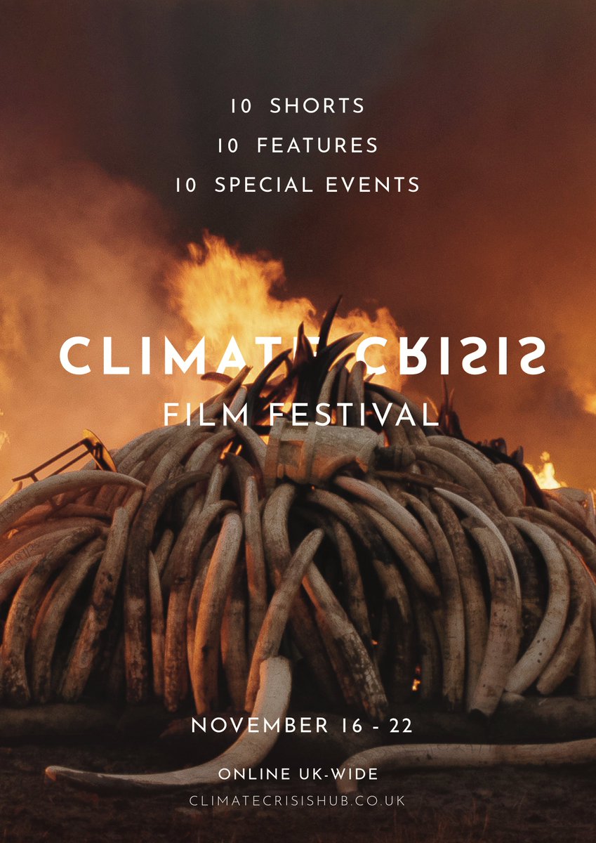 Far_Features's tweet photo. Must-watch film fest November 16th - 22nd! @hub4climate based in London are taking the second edition of their film festival online November for the whole week.
Info https://t.co/xvdSdKLTcn
Follow IG &amp; Facebook: @climatecrisishub 
Twitter: @hub4climate https://t.co/Dfm4aPeH7T