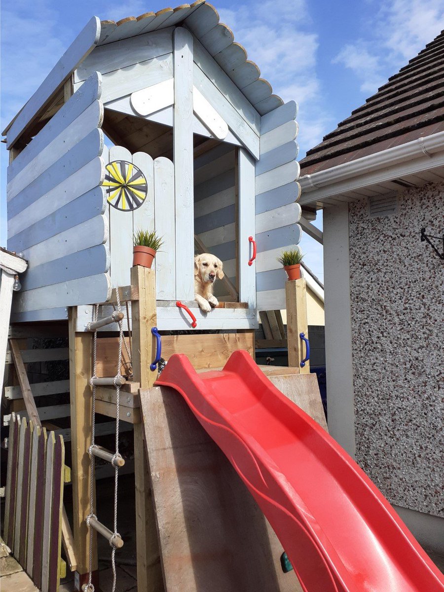 Skerries Community College Photography Club tweet media