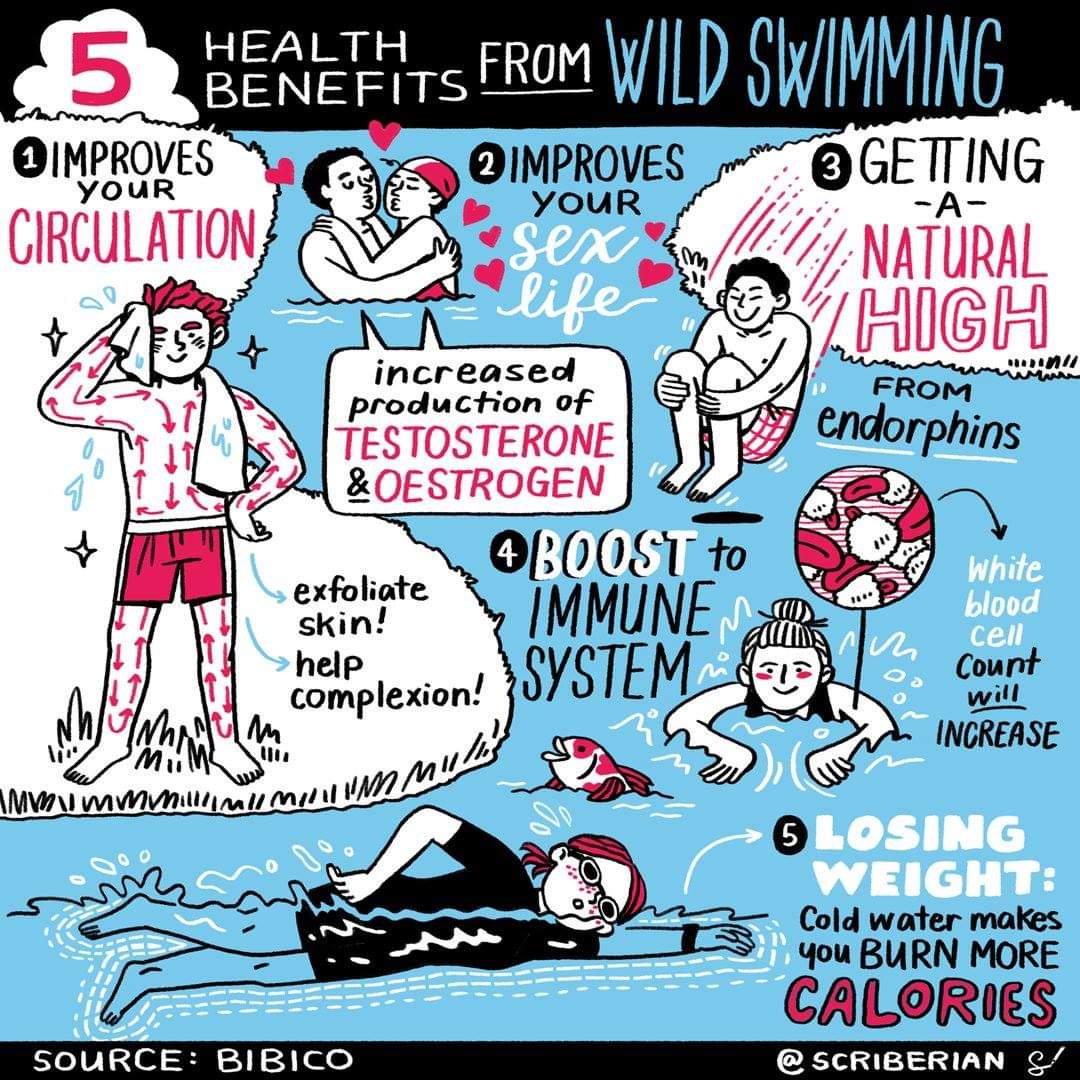 tribo79's tweet photo. Los Beneficios de nadar en aguas frías son infinitos, nuestra ciudad tiene hermosos lugares para practicar este interesante deporte. 🏊🏽
@RadikalSwim @ArenaSwimMX #orca #aguasabiertas #aguasfrias @Barbarellah #Valdiviacl https://t.co/mZrRqQvXcn