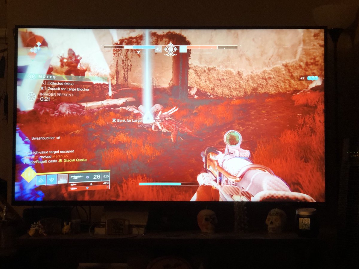 BearFloyd1's tweet photo. ⁦@BungieHelp⁩ playing gambit and the whole game froze up https://t.co/GZxJnbNQ5N