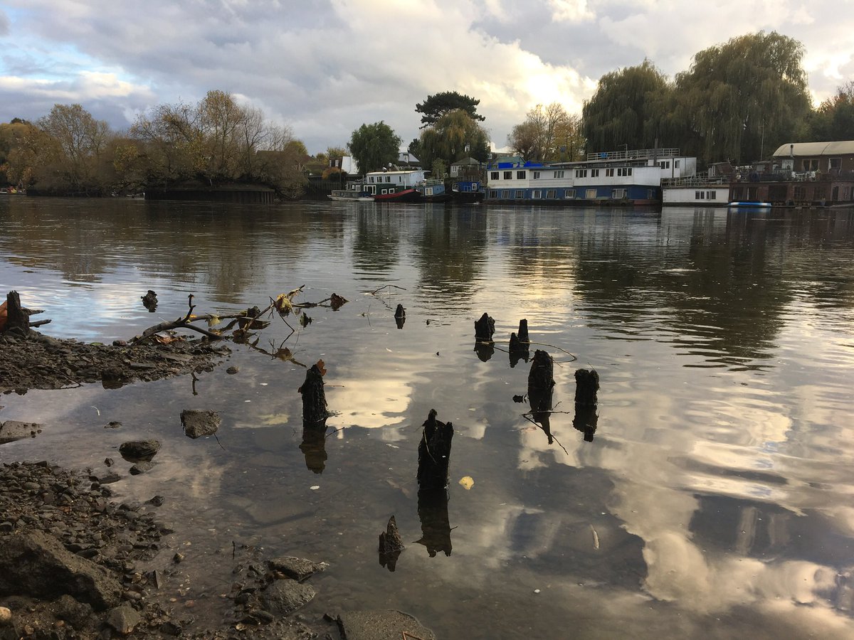 Just peeking out from the Thames at low tide during the Richmond Draw-Off the remains of the old Tudor/Stuart jetty for Richmond Palace, monarchs would have disembarked here from vessels. The river was once the safest & quickest way to travel as roads were difficult & dangerous.